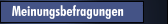 Meinungsbefragungen