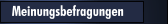 Meinungsbefragungen